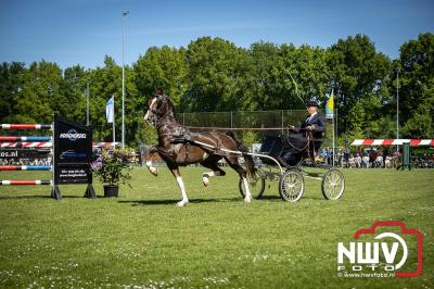 Paardensport in Topvorm: Grote Opkomst bij 41ste Concours in Doornspijk! - © NWVFoto.nl