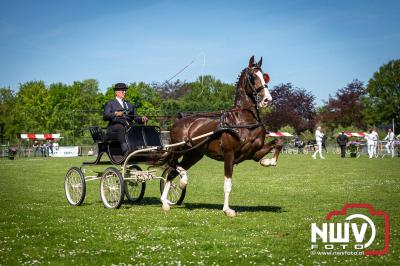 Paardensport in Topvorm: Grote Opkomst bij 41ste Concours in Doornspijk! - © NWVFoto.nl