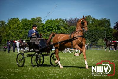 Paardensport in Topvorm: Grote Opkomst bij 41ste Concours in Doornspijk! - © NWVFoto.nl