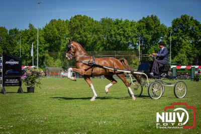 Paardensport in Topvorm: Grote Opkomst bij 41ste Concours in Doornspijk! - © NWVFoto.nl
