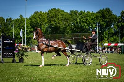 Paardensport in Topvorm: Grote Opkomst bij 41ste Concours in Doornspijk! - © NWVFoto.nl