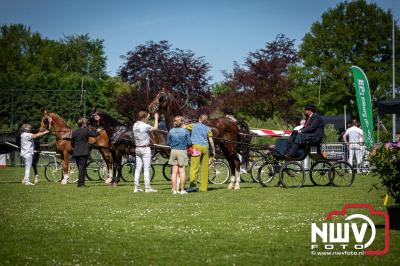 Paardensport in Topvorm: Grote Opkomst bij 41ste Concours in Doornspijk! - © NWVFoto.nl