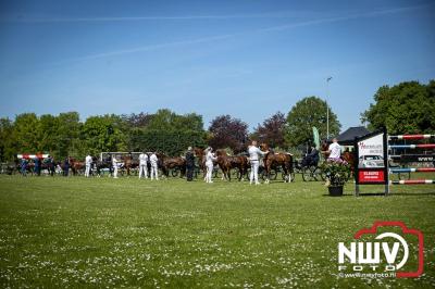 Paardensport in Topvorm: Grote Opkomst bij 41ste Concours in Doornspijk! - © NWVFoto.nl