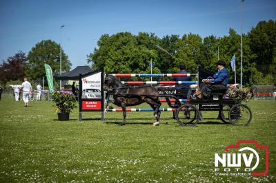 Paardensport in Topvorm: Grote Opkomst bij 41ste Concours in Doornspijk! - © NWVFoto.nl