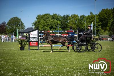 Paardensport in Topvorm: Grote Opkomst bij 41ste Concours in Doornspijk! - © NWVFoto.nl