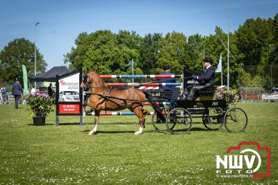 Paardensport in Topvorm: Grote Opkomst bij 41ste Concours in Doornspijk! - © NWVFoto.nl