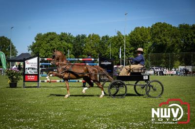 Paardensport in Topvorm: Grote Opkomst bij 41ste Concours in Doornspijk! - © NWVFoto.nl