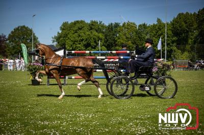 Paardensport in Topvorm: Grote Opkomst bij 41ste Concours in Doornspijk! - © NWVFoto.nl