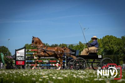 Paardensport in Topvorm: Grote Opkomst bij 41ste Concours in Doornspijk! - © NWVFoto.nl
