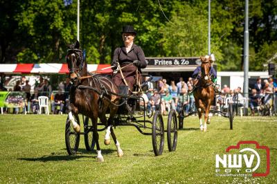 Paardensport in Topvorm: Grote Opkomst bij 41ste Concours in Doornspijk! - © NWVFoto.nl