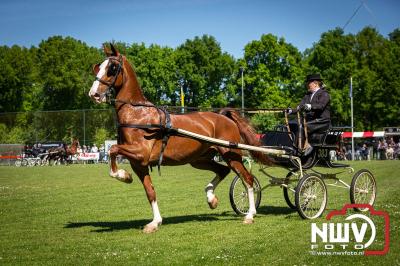 Paardensport in Topvorm: Grote Opkomst bij 41ste Concours in Doornspijk! - © NWVFoto.nl