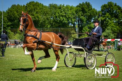 Paardensport in Topvorm: Grote Opkomst bij 41ste Concours in Doornspijk! - © NWVFoto.nl