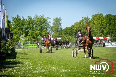 Paardensport in Topvorm: Grote Opkomst bij 41ste Concours in Doornspijk! - © NWVFoto.nl