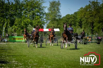 Paardensport in Topvorm: Grote Opkomst bij 41ste Concours in Doornspijk! - © NWVFoto.nl