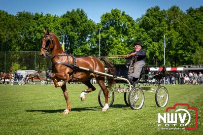 Paardensport in Topvorm: Grote Opkomst bij 41ste Concours in Doornspijk! - © NWVFoto.nl