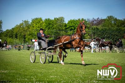 Paardensport in Topvorm: Grote Opkomst bij 41ste Concours in Doornspijk! - © NWVFoto.nl
