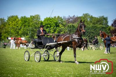 Paardensport in Topvorm: Grote Opkomst bij 41ste Concours in Doornspijk! - © NWVFoto.nl