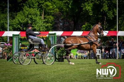 Paardensport in Topvorm: Grote Opkomst bij 41ste Concours in Doornspijk! - © NWVFoto.nl