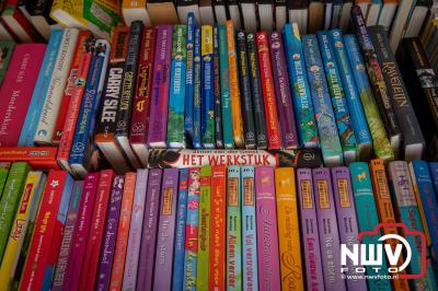 Weer of geen weer: Vlooienmarkt op ’t Harde trekt volop publiek. - © NWVFoto.nl
