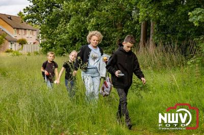Geslaagde Start: Eerste Avond van de Avondvierdaagse op ’t Harde met een Kleine 600 Wandelaars. - © NWVFoto.nl