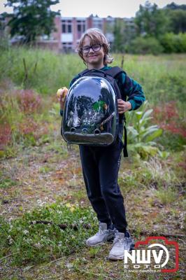 Geslaagde Start: Eerste Avond van de Avondvierdaagse op ’t Harde met een Kleine 600 Wandelaars. - © NWVFoto.nl