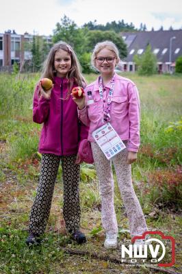 Geslaagde Start: Eerste Avond van de Avondvierdaagse op ’t Harde met een Kleine 600 Wandelaars. - © NWVFoto.nl