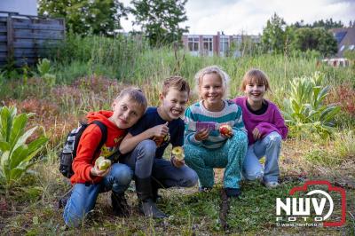 Geslaagde Start: Eerste Avond van de Avondvierdaagse op ’t Harde met een Kleine 600 Wandelaars. - © NWVFoto.nl