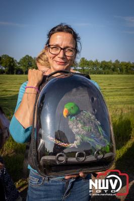 Wandelaars konden woensdag kennismaken met klompenpaden zo wandelde de 7,5 km over het Poppepad. - © NWVFoto.nl