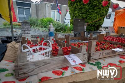 Dorpsfeest Oostendorp Bruist met muziek marktkramen en kinderkleedjes markt. - © NWVFoto.nl