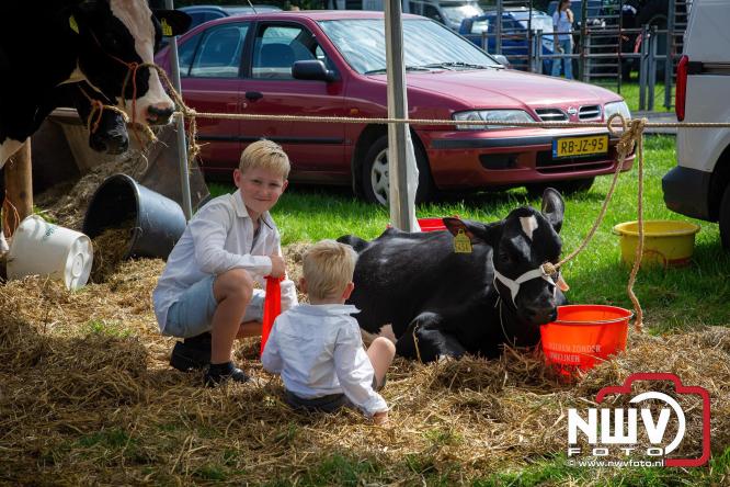 Oogstfeest en Fokveedag in Oldebroek: Een dag vol nostalgie en plattelandsplezier voor alle generaties. - © NWVFoto.nl
