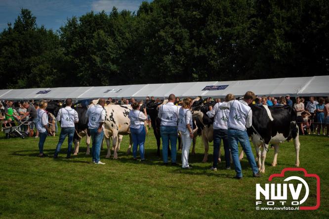 Oogstfeest en Fokveedag in Oldebroek: Een dag vol nostalgie en plattelandsplezier voor alle generaties. - © NWVFoto.nl