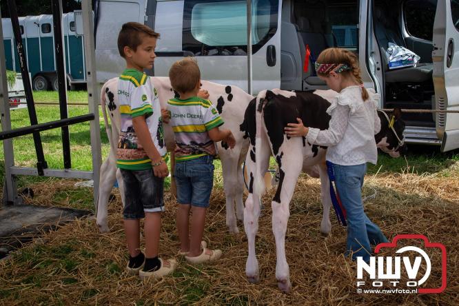 Oogstfeest en Fokveedag in Oldebroek: Een dag vol nostalgie en plattelandsplezier voor alle generaties. - © NWVFoto.nl