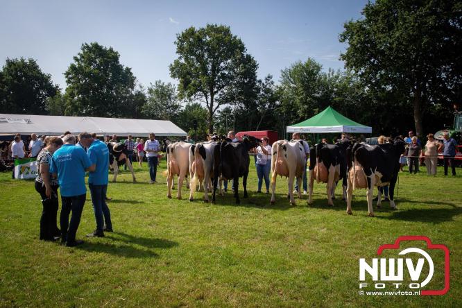 Oogstfeest en Fokveedag in Oldebroek: Een dag vol nostalgie en plattelandsplezier voor alle generaties. - © NWVFoto.nl