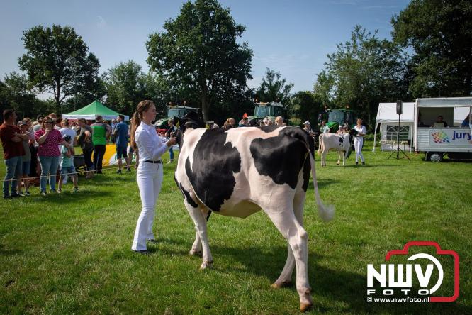 Oogstfeest en Fokveedag in Oldebroek: Een dag vol nostalgie en plattelandsplezier voor alle generaties. - © NWVFoto.nl
