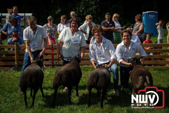 Oogstfeest en Fokveedag in Oldebroek: Een dag vol nostalgie en plattelandsplezier voor alle generaties. - © NWVFoto.nl