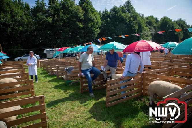 Oogstfeest en Fokveedag in Oldebroek: Een dag vol nostalgie en plattelandsplezier voor alle generaties. - © NWVFoto.nl