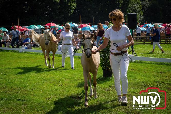 Oogstfeest en Fokveedag in Oldebroek: Een dag vol nostalgie en plattelandsplezier voor alle generaties. - © NWVFoto.nl
