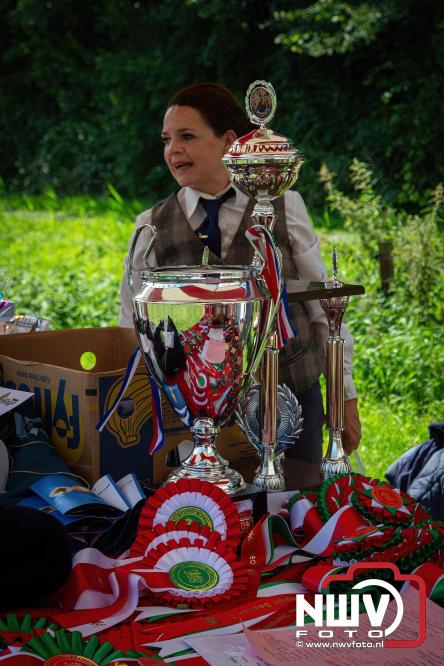Oogstfeest en Fokveedag in Oldebroek: Een dag vol nostalgie en plattelandsplezier voor alle generaties. - © NWVFoto.nl