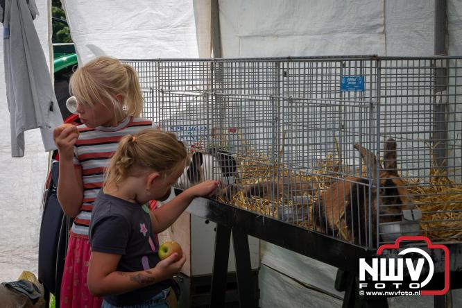 Oogstfeest en Fokveedag in Oldebroek: Een dag vol nostalgie en plattelandsplezier voor alle generaties. - © NWVFoto.nl