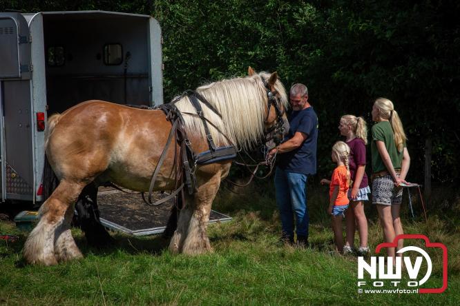 Oogstfeest en Fokveedag in Oldebroek: Een dag vol nostalgie en plattelandsplezier voor alle generaties. - © NWVFoto.nl
