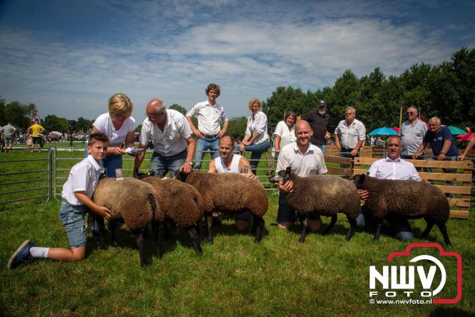 Oogstfeest en Fokveedag in Oldebroek: Een dag vol nostalgie en plattelandsplezier voor alle generaties. - © NWVFoto.nl