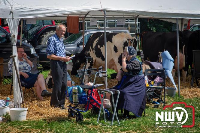 Oogstfeest en Fokveedag in Oldebroek: Een dag vol nostalgie en plattelandsplezier voor alle generaties. - © NWVFoto.nl
