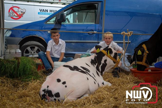 Oogstfeest en Fokveedag in Oldebroek: Een dag vol nostalgie en plattelandsplezier voor alle generaties. - © NWVFoto.nl