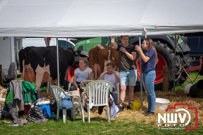 Oogstfeest en Fokveedag in Oldebroek: Een dag vol nostalgie en plattelandsplezier voor alle generaties. - © NWVFoto.nl