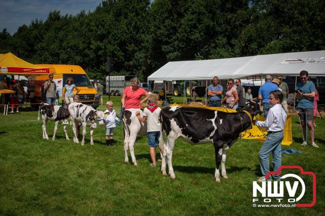 Oogstfeest en Fokveedag in Oldebroek: Een dag vol nostalgie en plattelandsplezier voor alle generaties. - © NWVFoto.nl
