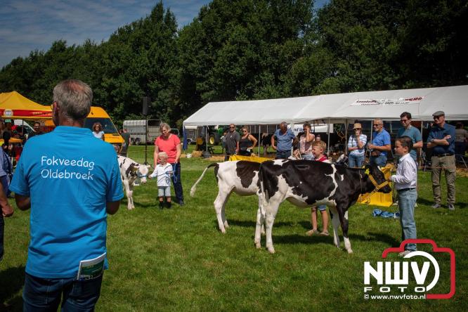 Oogstfeest en Fokveedag in Oldebroek: Een dag vol nostalgie en plattelandsplezier voor alle generaties. - © NWVFoto.nl