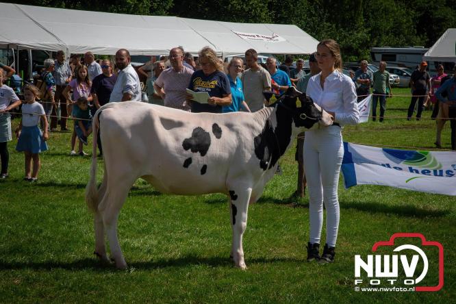Oogstfeest en Fokveedag in Oldebroek: Een dag vol nostalgie en plattelandsplezier voor alle generaties. - © NWVFoto.nl
