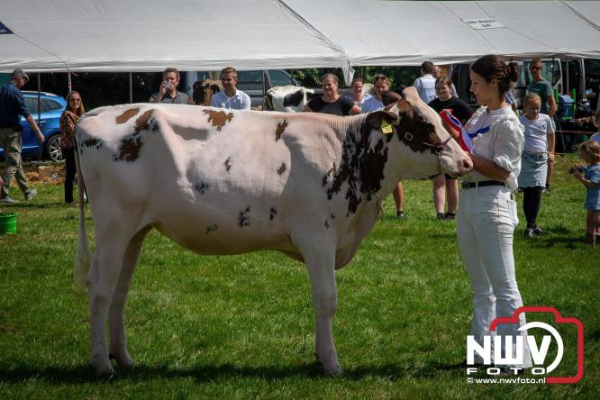 Oogstfeest en Fokveedag in Oldebroek: Een dag vol nostalgie en plattelandsplezier voor alle generaties. - © NWVFoto.nl
