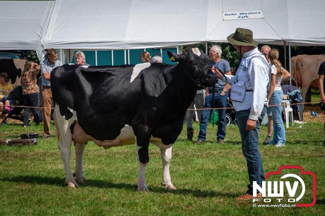 Oogstfeest en Fokveedag in Oldebroek: Een dag vol nostalgie en plattelandsplezier voor alle generaties. - © NWVFoto.nl