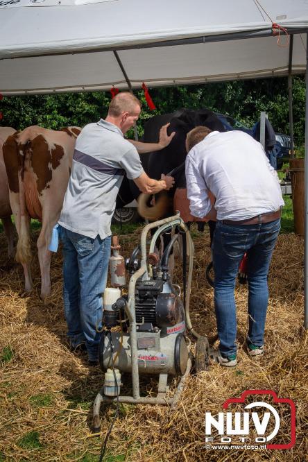 Oogstfeest en Fokveedag in Oldebroek: Een dag vol nostalgie en plattelandsplezier voor alle generaties. - © NWVFoto.nl
